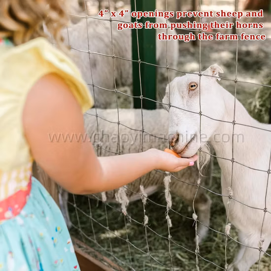 PC Wire Вертикальный дубль